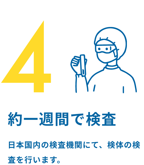 4.約1週間で検査 日本国内の検査機関にて、検体の検査を行います。