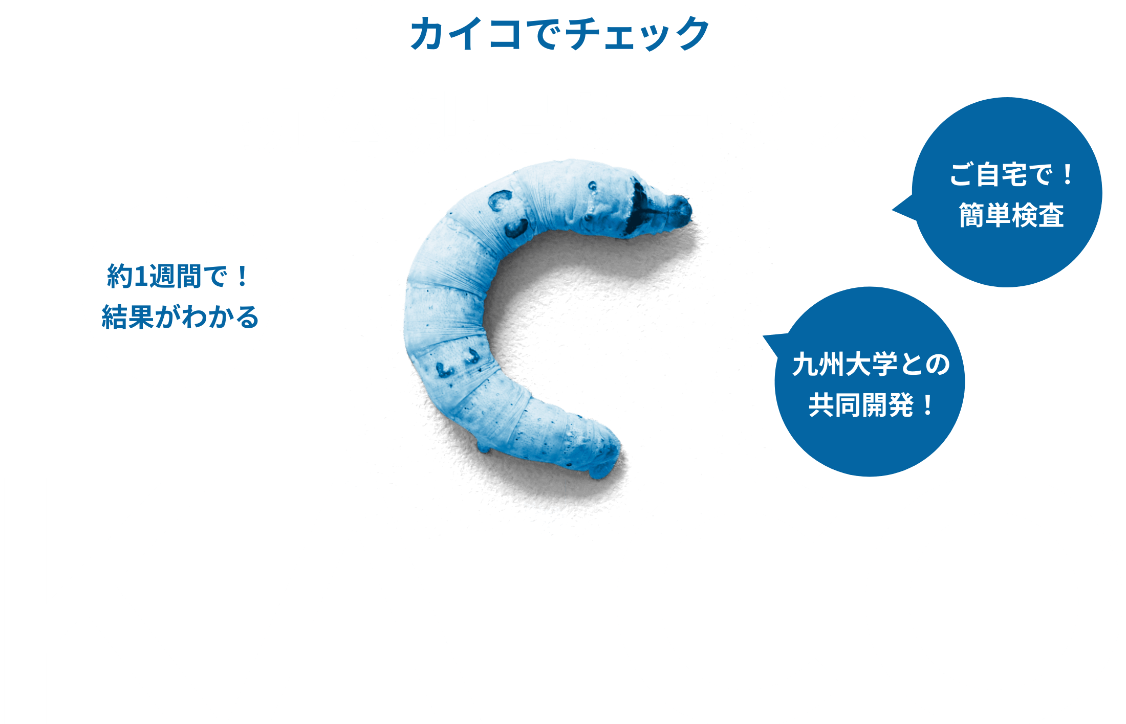 カイコでチェック! 抗体測定サービス